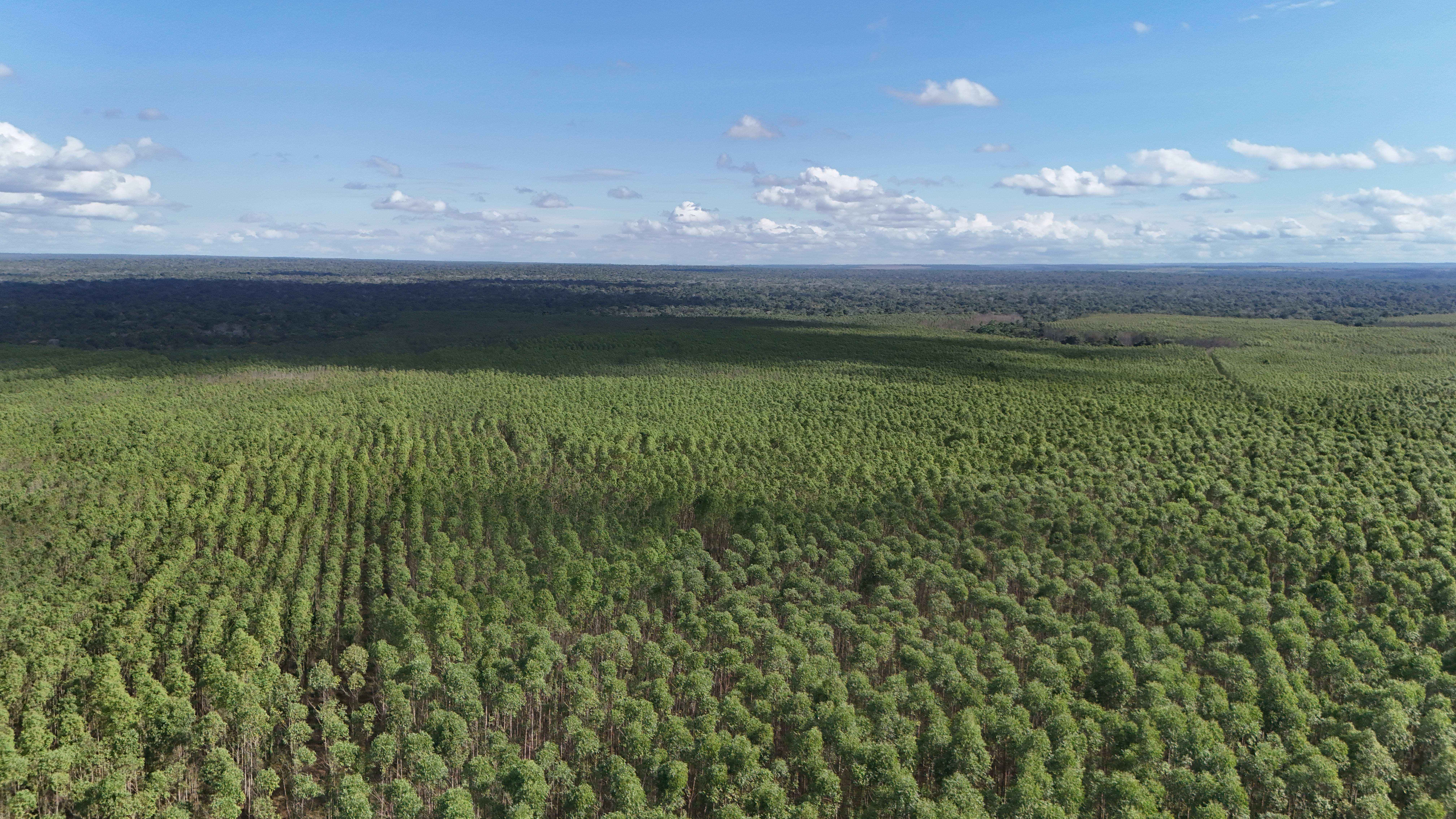 Projeto de Agricultura